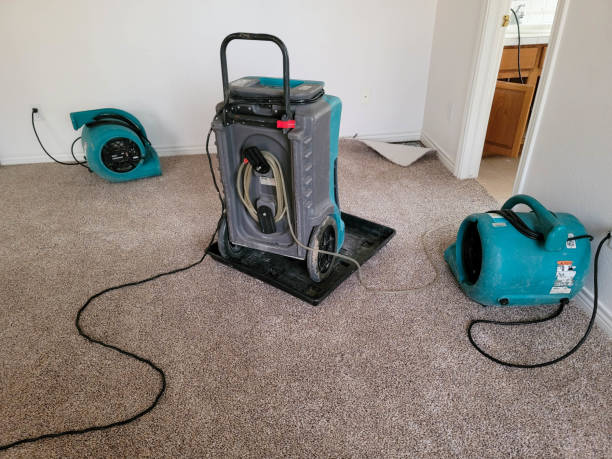 Best Water damage restoration near me  in Lockhart, FL