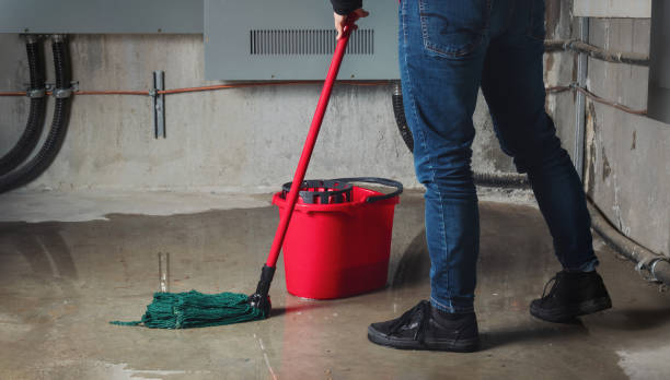 Best Commercial water damage restoration  in Lockhart, FL