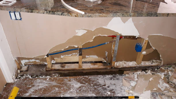 Best Flood restoration services  in Lockhart, FL