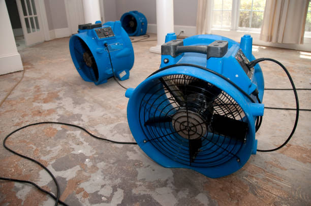 Professional Water damage restoration in Lockhart, FL